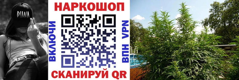 Наркошоп купить Бошки Шишки  A PVP  Cocaine  ГАШИШ  Меф  Нижнеудинск