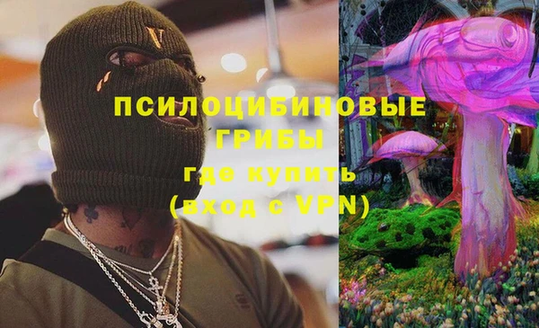 тгк Арсеньев