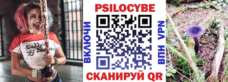 Галлюциногенные грибы GOLDEN TEACHER  Купить закладки  Нижнеудинск 